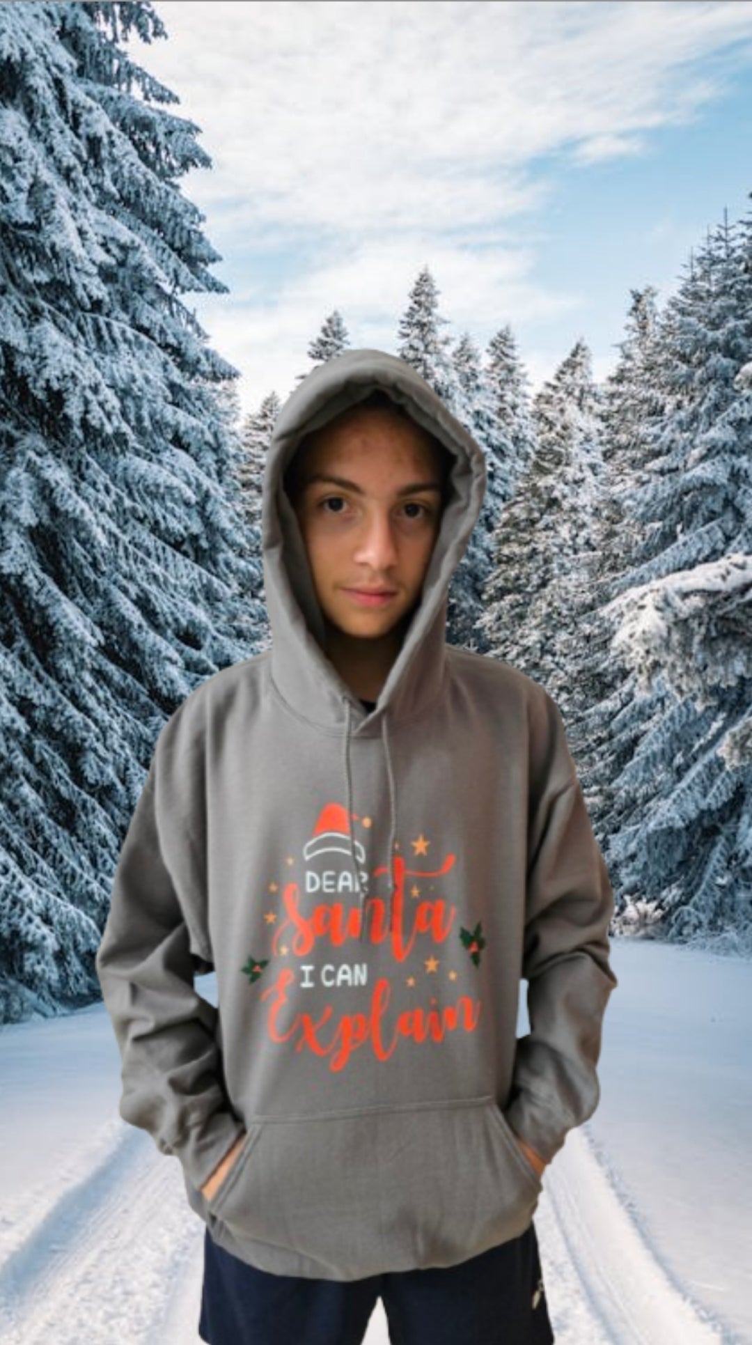 Hoodie- Dear Santa I can explain